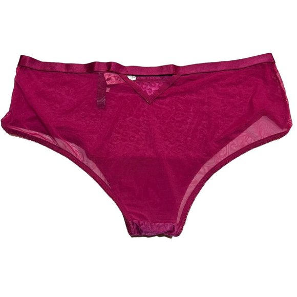 NWT TORRID Cheeky Pantie Underwear Sz 1X Pink Mesh - Picture 2 of 4